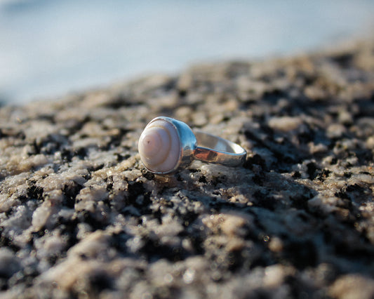 Anillo MAUI con Caracol blanco