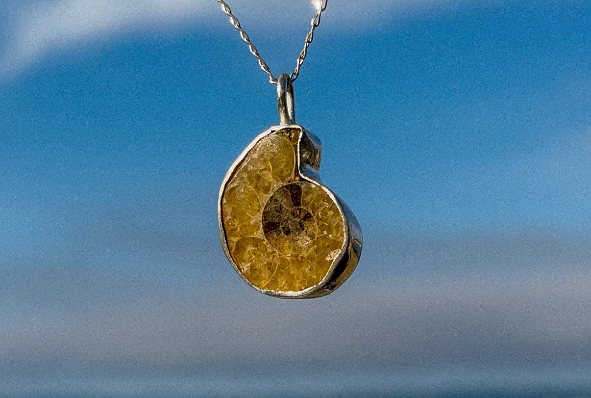 Collar Amonite